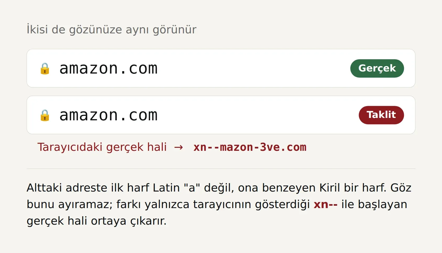 Üstte gerçek amazon.com adresi, altta Kiril harfiyle yazılmış, aynı görünen ama tarayıcıda xn--mazon-3ve.com'a dönüşen sahte adres.